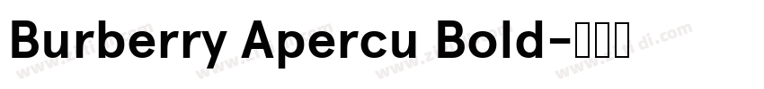 Burberry Apercu Bold字体转换